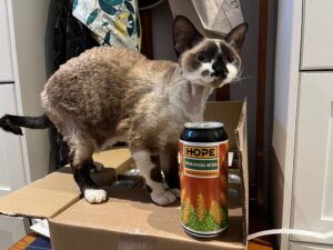 An adorable kitty helps unpack a can of Hope Bitter